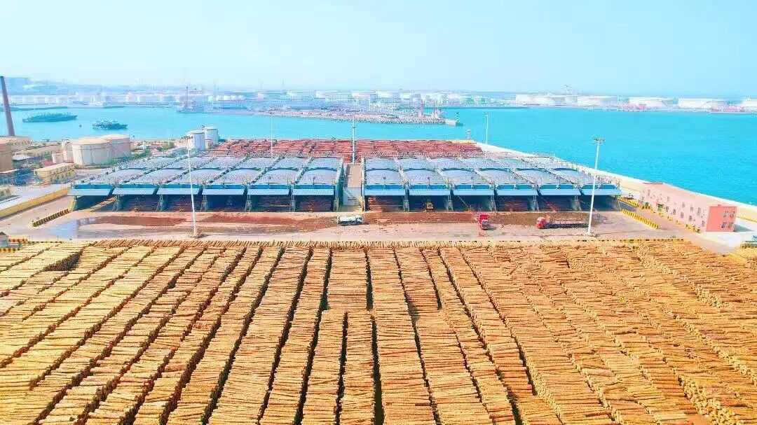 1765164670974024.png image.png